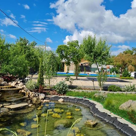 Casa Elis Piscina, Jacuzzy , Sauna, Ciubar Merei Exterior foto