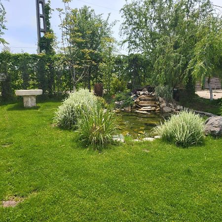 Casa Elis Piscina, Jacuzzy , Sauna, Ciubar Merei Exterior foto