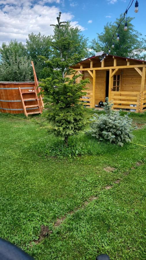 Casa Elis Piscina, Jacuzzy , Sauna, Ciubar Merei Exterior foto